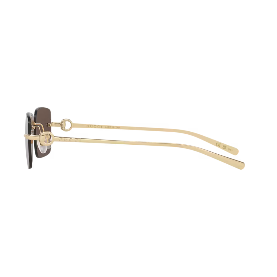 Gucci Sunglasses | Model GG1703S