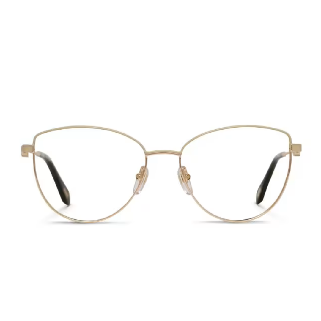 Just Cavalli Optical Frame | Model VJC014