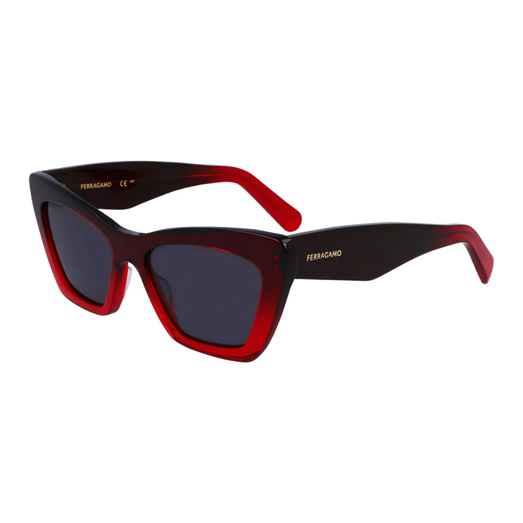 Lunettes de soleil Salvatore Ferragamo | Modèle SF929SN