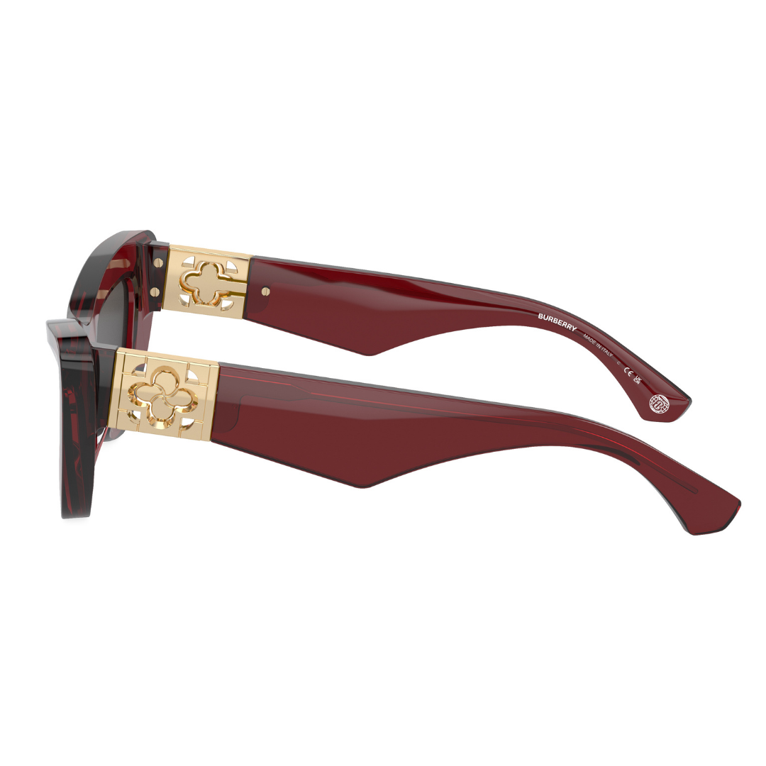 Burberry Sunglasses | Model 0BE4421U