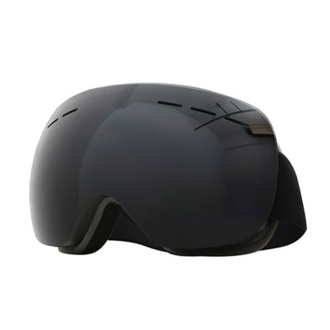 Lunettes de Ski & Snowboard Polarisées | 01 Adulte - Noir