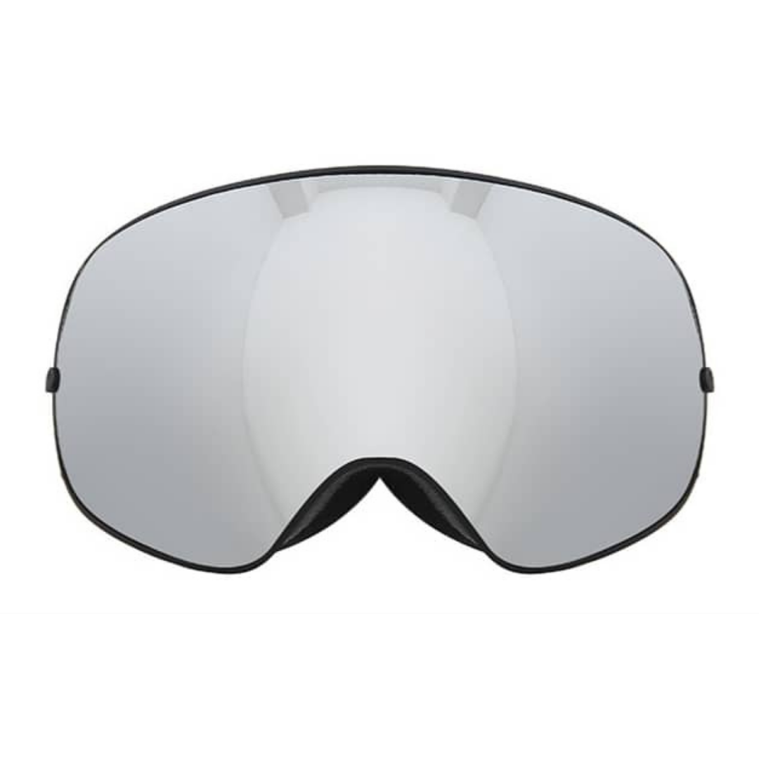 Skii & Snowboard Goggles 08 Adult - Gray/Black