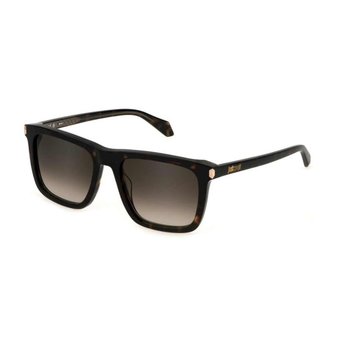 Lunettes de soleil Just Cavalli | Modèle SJC035