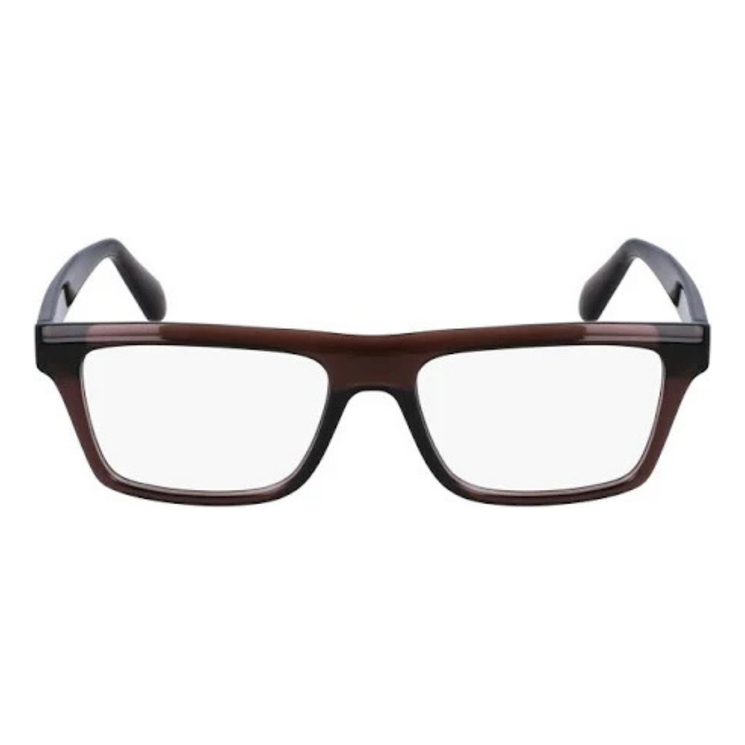 Lunettes Salvatore Ferragamo | Modèle SF2988
