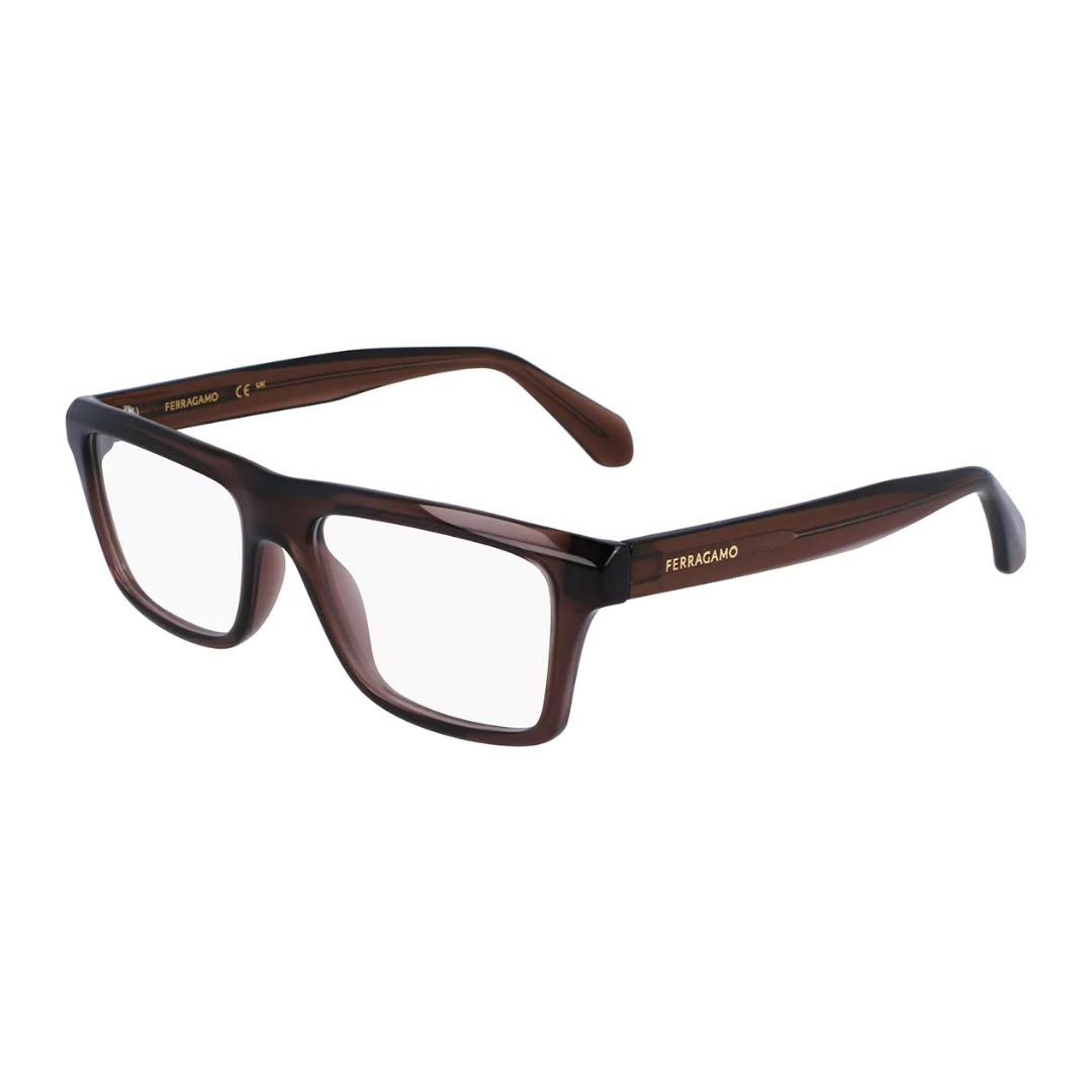 Lunettes Salvatore Ferragamo | Modèle SF2988