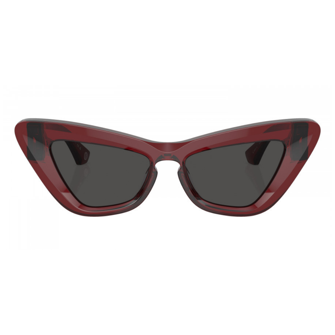 Burberry Sunglasses | Model 0BE4421U