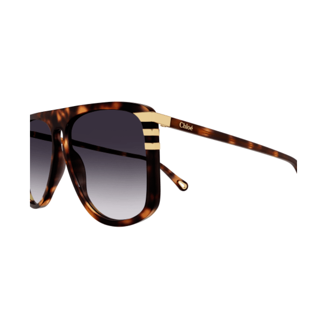 Chloe Sunglasses | Model CH0104