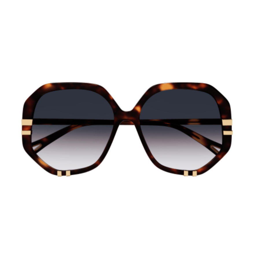 Chloe Sunglasses | Model CH0105S