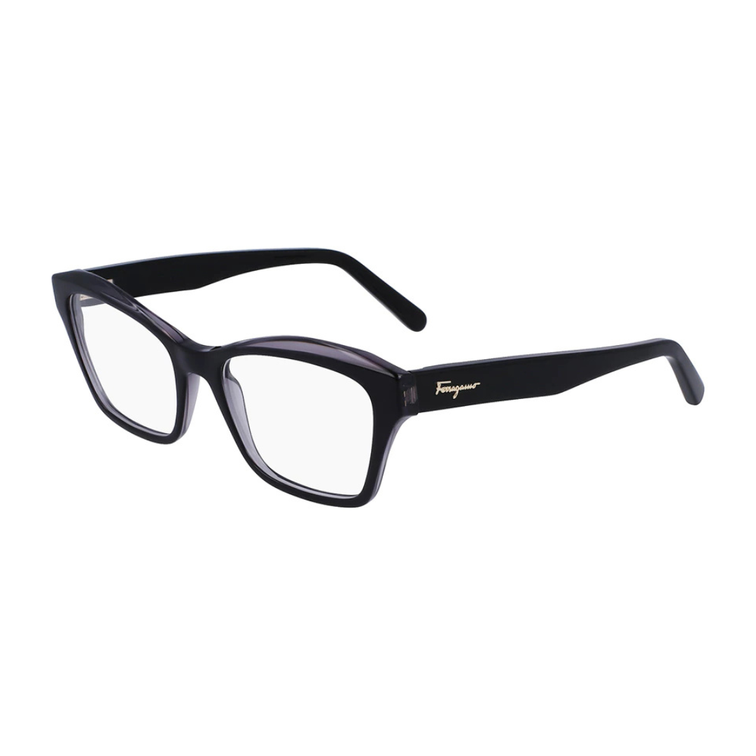 Lunettes Salvatore Ferragamo | Modèle SF2951