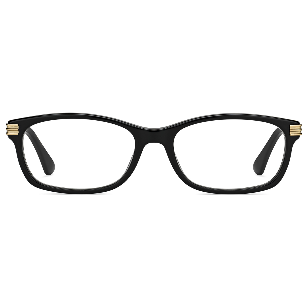 Jimmy Choo Spectacle Frame | Model JC211