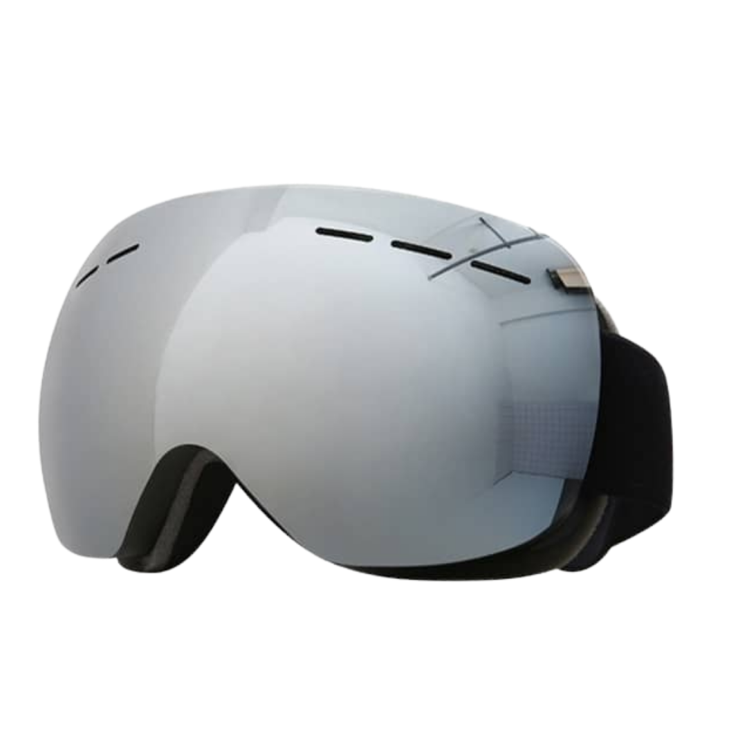 Skii & Snowboard Goggles 06 Adult - Gray/Black